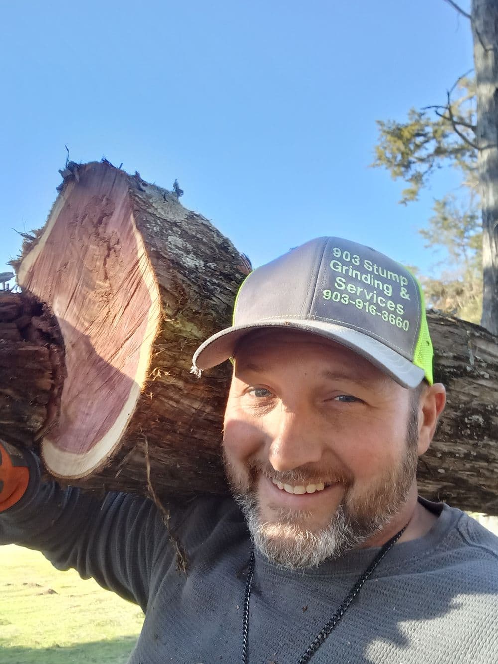 About 903 Stump Grinding & Tree Service